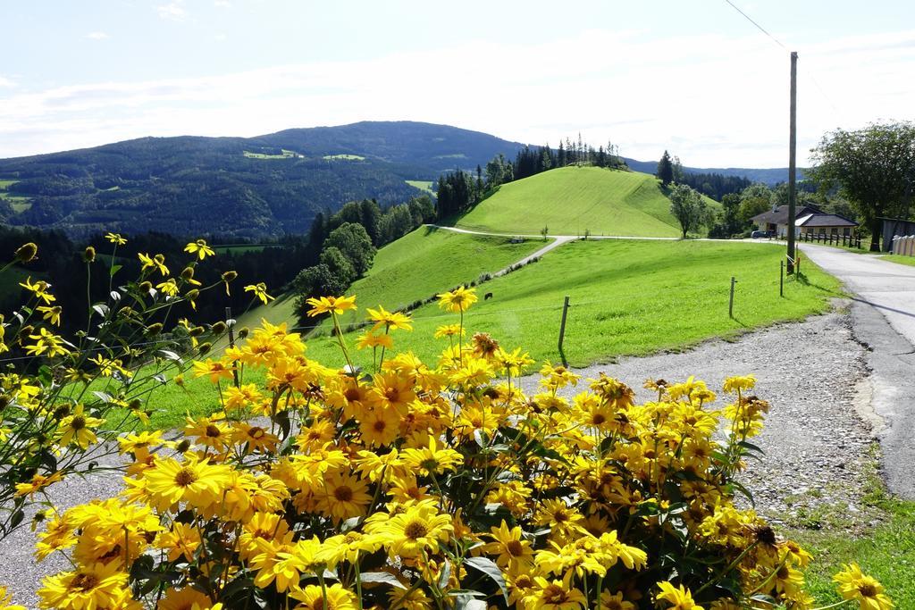 Ferienwohnungen Perhofer Birkfeld 외부 사진