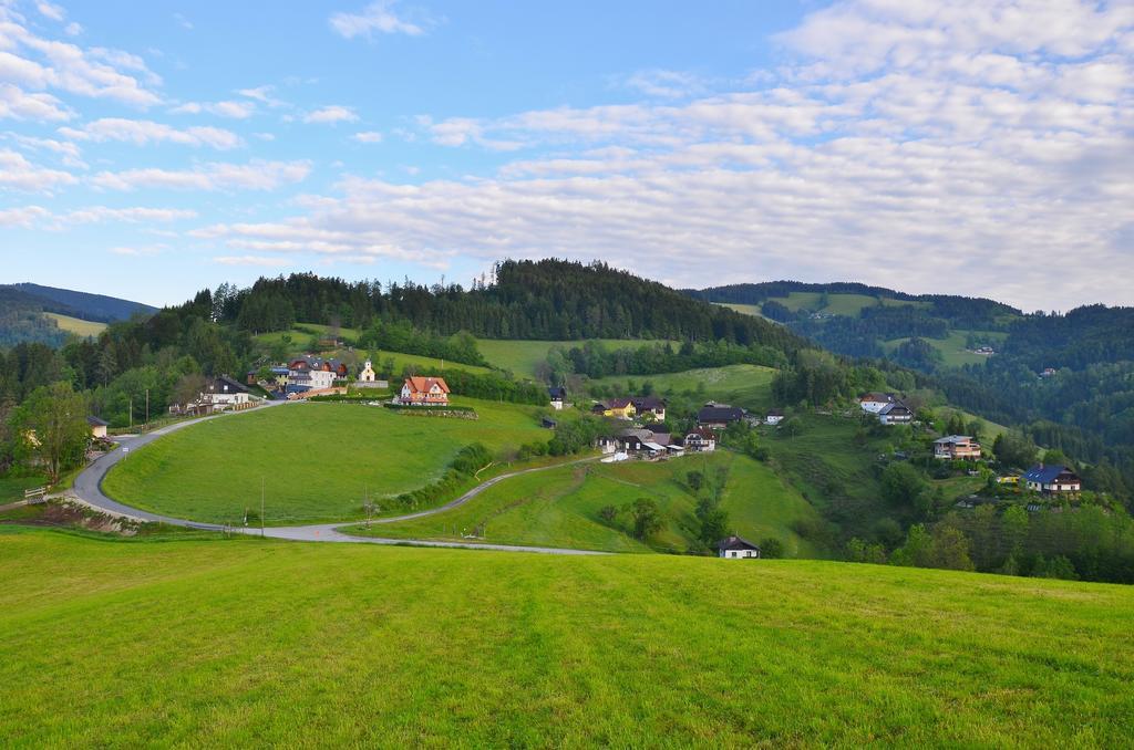 Ferienwohnungen Perhofer Birkfeld 외부 사진